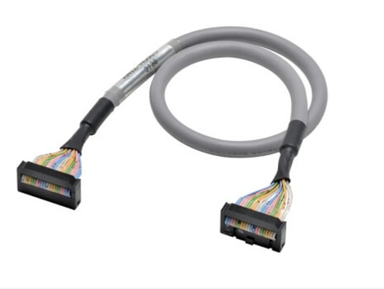 OMRON XW2Z300EE Magnetic Lock