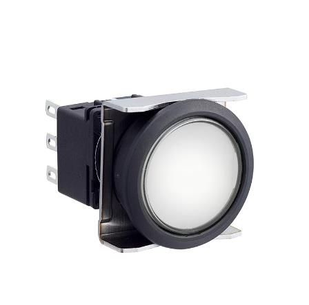 IDEC LBW6L-A1T24PW Device