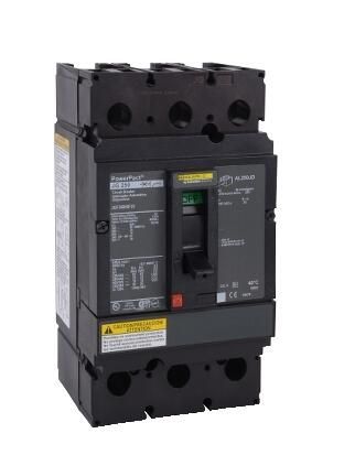Schneider Electric JGF36000F25 Device