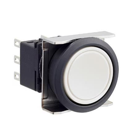IDEC LBW6B-M1T1W Device