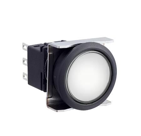 IDEC LBW6L-M1T24PW Device