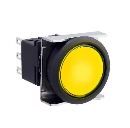 IDEC LBW6L-M1T54Y Device