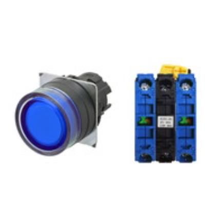 OMRON A22NL-BGM-TAA-G101-AC Device