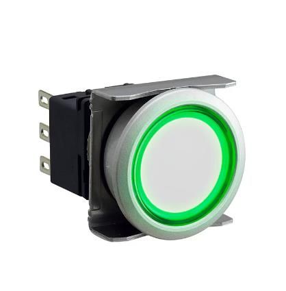 IDEC LBW6ML-A1RT54WG Device