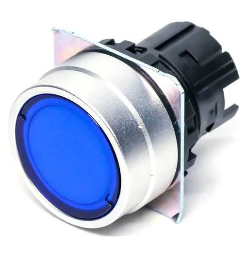 OMRON A22NZMNMUGA Button