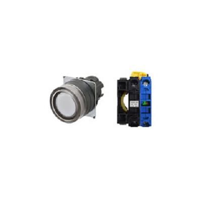 OMRON A22NL-BGM-TWA-G100-WC Device