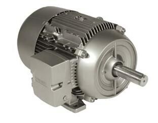 Siemens 1LE21211CA114EA3 Motor