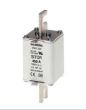 Siemens 3NE3221 Fuse