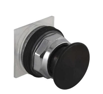 Schneider Electric 9001KR24BM Button