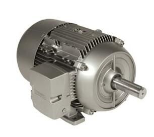 Siemens 1LE21212BA114EA3 Motor