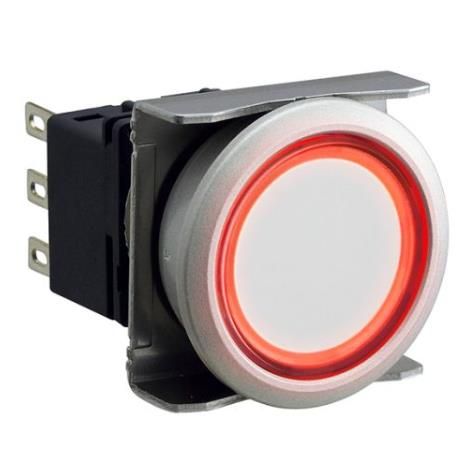 IDEC LBW6ML-M1RT23WR Device
