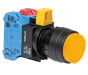 IDEC HW1B-M2F22-Y Device