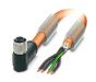 Phoenix Contact 1424103 Cable