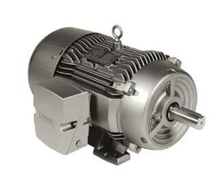 Siemens 1LE22213BA116AA3 Motor