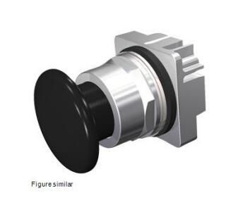 Siemens 52PP2W1 Button
