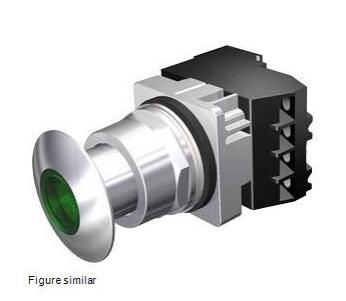 Siemens 52PP2G3AB Switch