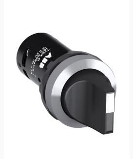 ABB C2SS1-30B-10 Switches