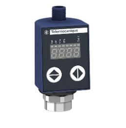 Telemecanique XMLR250M1P25 Device
