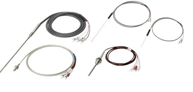 OMRON E52P2GSY5M RTD