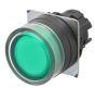 OMRON A22NZBGMTGA Button