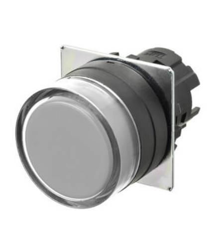 OMRON A22NZ-BGM-NWA Device