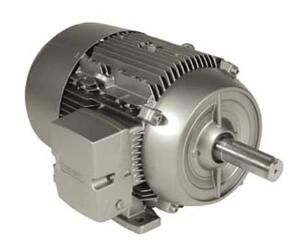 Siemens 1LE21211AA314EA3 Motor