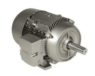 Siemens 1LE21212BA114AA3 Motor