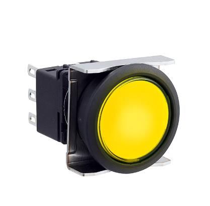 IDEC LBW6L-M1T24VY Device