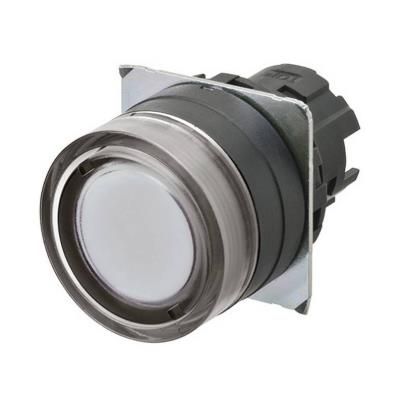 OMRON A22NZ-BGM-UWA Device