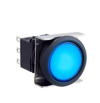 IDEC LBW6L-M1T54S Device