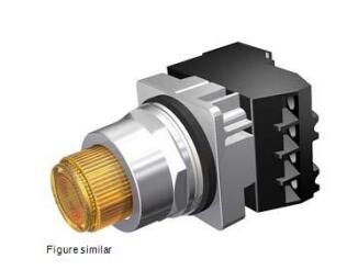 Siemens 52PT6E9A Switch