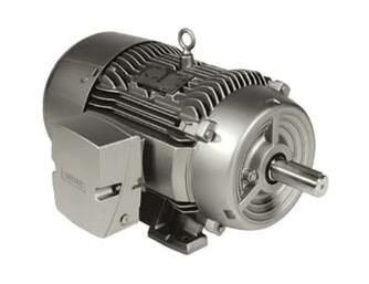 Siemens 1LE22212AB114AA3 Motor