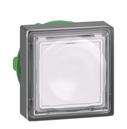 Schneider Electric ZB5CW313 Button