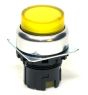 OMRON A22NZRPAUYA Button