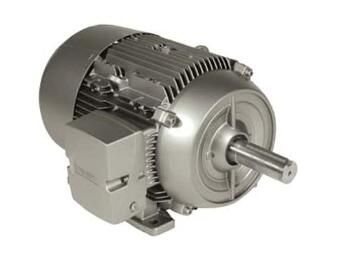 Siemens 1LE21211AB314EA3 Motor
