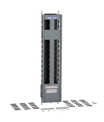 Schneider Electric NF466L2 Panel