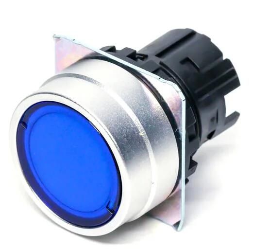 OMRON A22NZBGAUGA Button