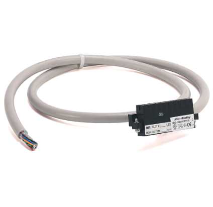 Allen Bradley 1492-CAB025RTN18 Device