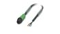 Phoenix Contact 1442324 Cable