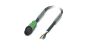 Phoenix Contact 1442366 Cable