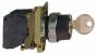 Telemecanique XB4BG21EX Switch