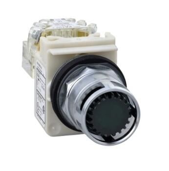 Schneider Electric 9001K3L35GH13 Button