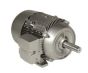 Siemens 1LE21212AA114EA3 Motor