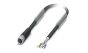 Phoenix Contact 1543294 Cable