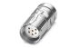 Phoenix Contact 1619528 Cable