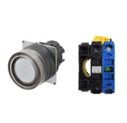 OMRON A22NL-BGA-TWA-G100-WD Device