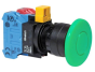 IDEC HW1B-A4F22-G Device