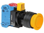 IDEC HW1B-V3F22-Y Device