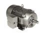 Siemens 1LE22214BB212AA3 Motor