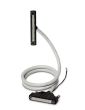 Phoenix Contact 2904431 Cable